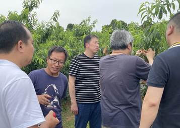 3E36A8FA-BC87-4446-AC71-EB03145FCB72_big